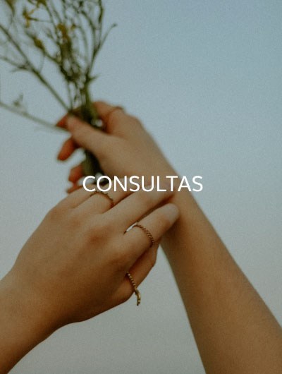 Consultas